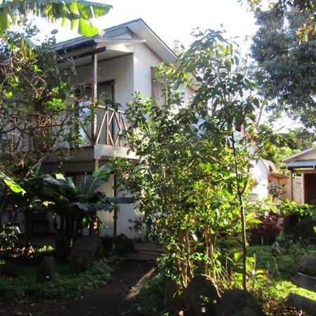 Hostal Marari Hanga Roa Exteriér fotografie